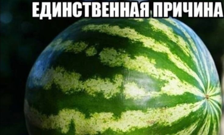 Create meme: watermelon scarlet, watermelon photo, striped watermelon