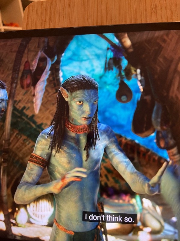 Create meme: neytiri avatar, avatar of Zoe Saldana, avatar avatar