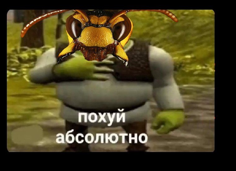 Create meme: Shrek , Shrek meme , Shrek 2 final