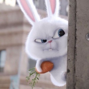 Create meme: evil Bunny, The secret life of Pets, the evil Bunny from the movie