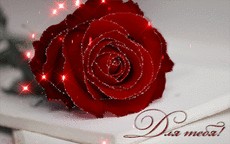 Create meme: Flowers, roses for you pictures, rose animation