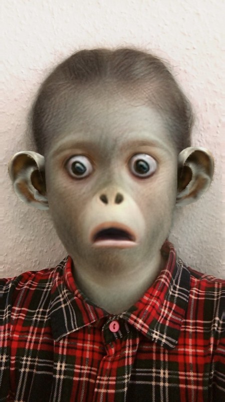 Create meme: monkey, funny monkeys