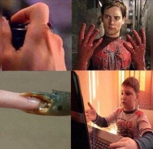 Create meme: people, Tobey Maguire, Tobey Maguire spider man meme