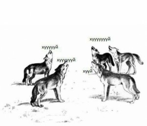 Create meme: the wolf howls, meme wolf, school comics