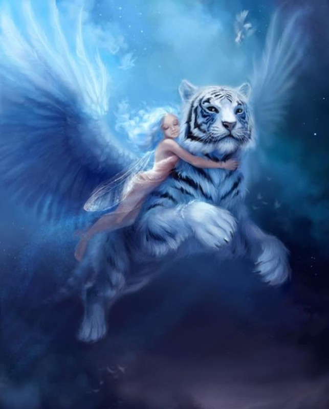 Create meme: tiger with wings, fantasy Pets, The flying tiger