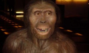Create meme: homo ergaster, ancient people, Australopithecus