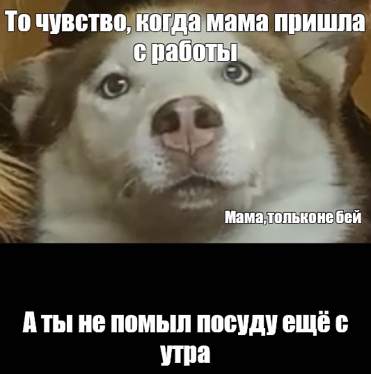 Meme: То чувство, когда мама пришла с работы Мама, только не бей А ты