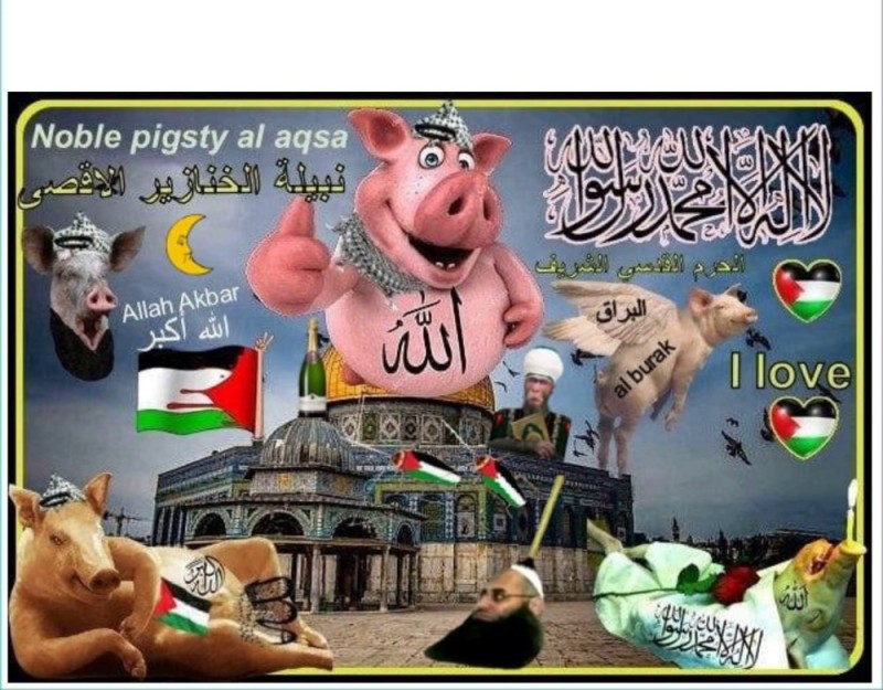 Create meme: pigs, pig haram, allah akbar