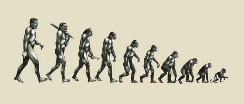 Создать мем: деградация, превращение обезьяны в человека, теория эволюции