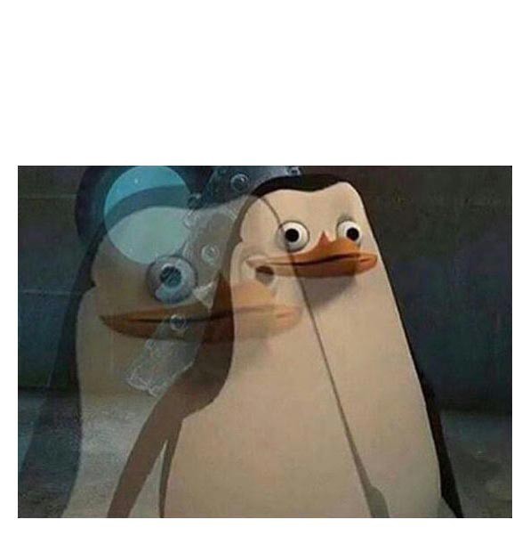 Создать мем: пингвин, мемы, пингвины из мадагаскара