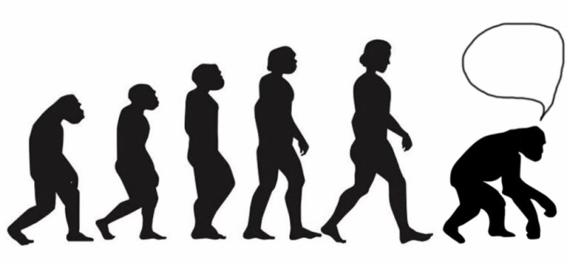 Создать мем: эволюция дарвина, эволюция человека женщины, evolution