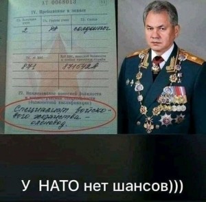 Создать мем: шойгу министр обороны, министр обороны россии сергей шойгу, шойгу сергей кужугетович награды