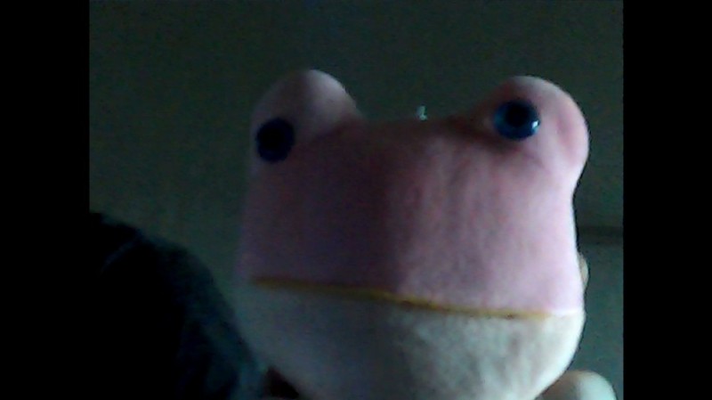 Create meme: soft toy, zhabka , axolotl colors