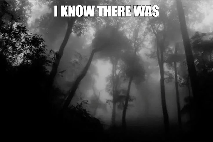 Create meme: The forest is gloomy and gray, forest fog, forest in gray tones