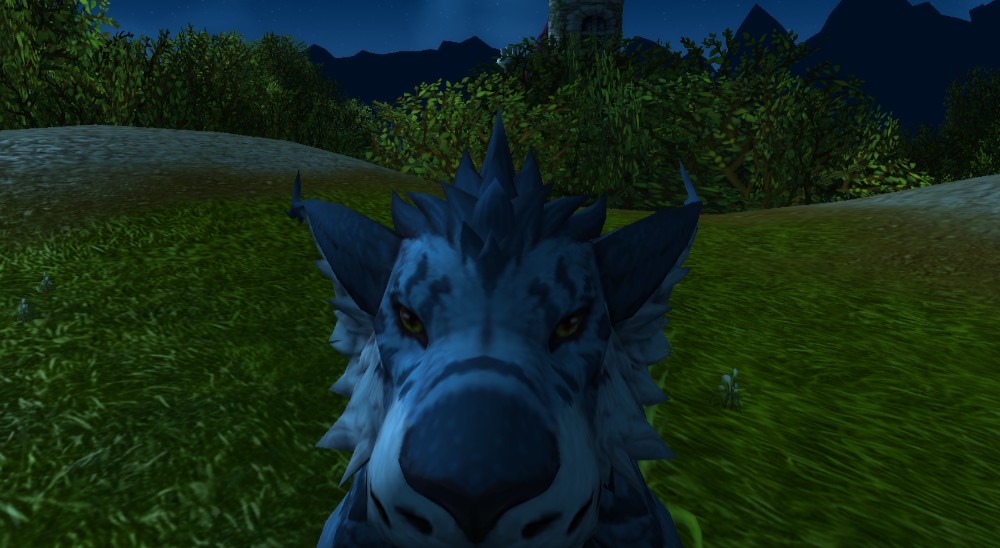 Create meme "wow riding wolf, volkus wow classic, Ghost Wolf wow 3.3.5