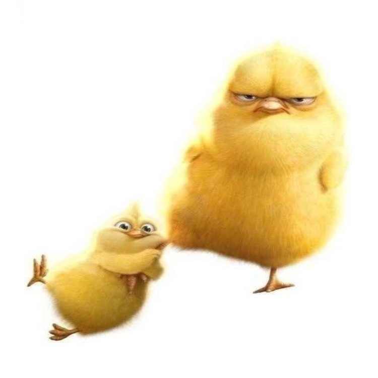 Create meme: a riot of fluffy chicks, angry chicken, chicken carlos