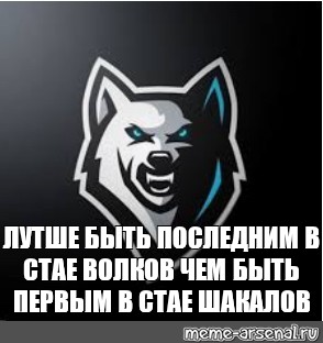 Лучше быть последним. Девизы про Волков. Девиз волка. Девиз для отряда волки. Девиз для команды волки.