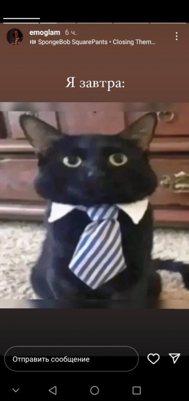 Create meme: cat with a tie, business cat, black cats with a tie