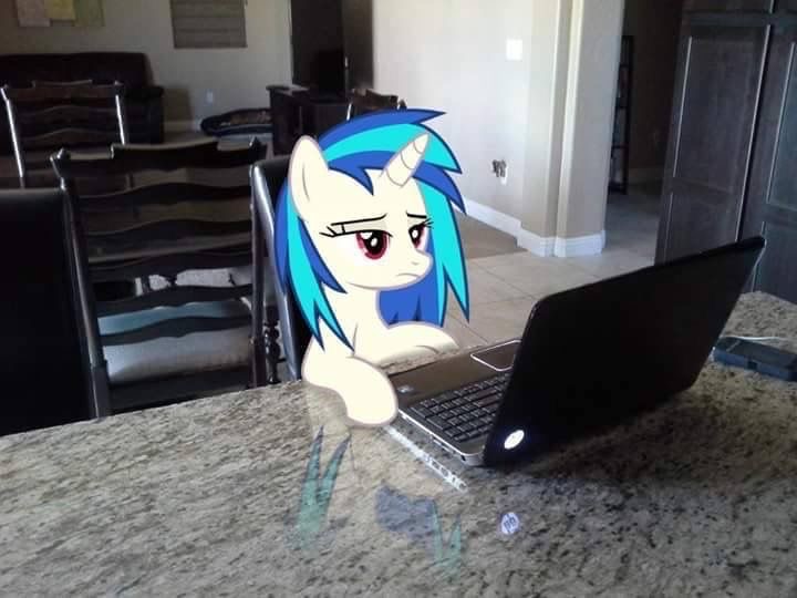 Create meme: vinyl scratch , Vinyl Scratch and Rainbow Dash, pony 