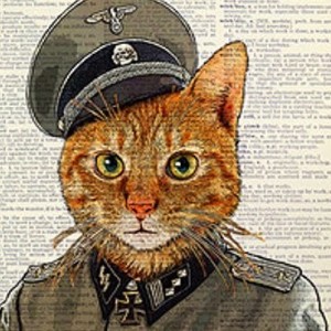 Create meme: cat in uniform