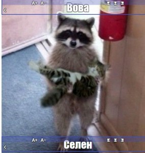 Create meme: raccoon gargle, raccoon carries cat, funny raccoons