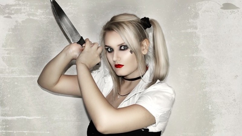 Create meme: the girl with the knife, Harley Quinn , girl 