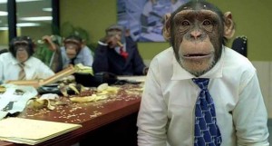 Create meme: monkey Director, monkey in the office