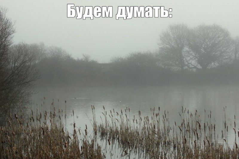 Create meme: the swamp in the fog, landscape 