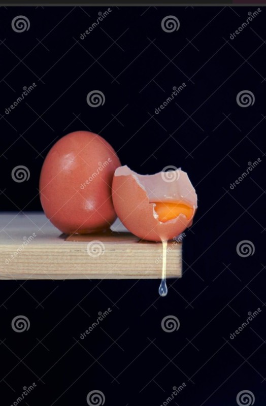 Create meme: raw egg, broken egg, fresh egg