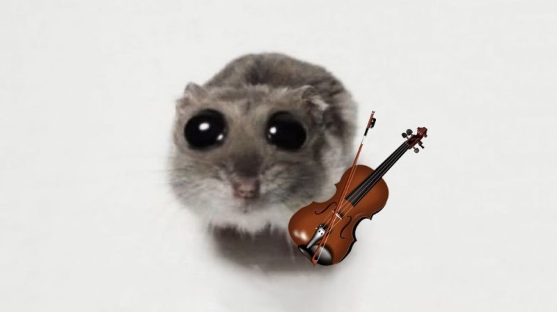 Create meme: hamster with big eyes meme, The hamster is sad, The sad hamster meme