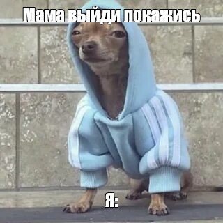 Создать мем: null