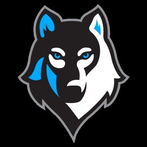 Создать мем: wolf логотип картинки, волк логотип, логотип волка для клана