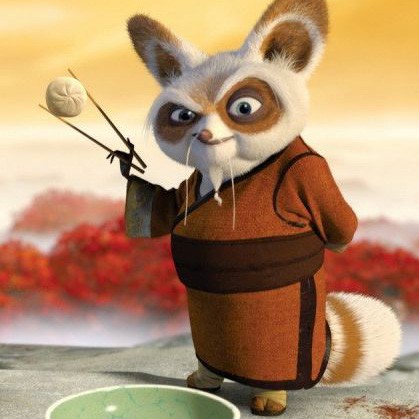 Create meme: kung fu panda 3 master shifu, kung fu panda 2, kung fu Panda 3