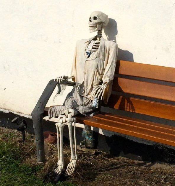 Create meme: the skeleton on the bench, the skeleton on the bench, waiting skeleton