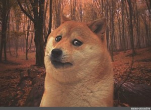 Создать мем: мем пес, грусть мем, sad doge