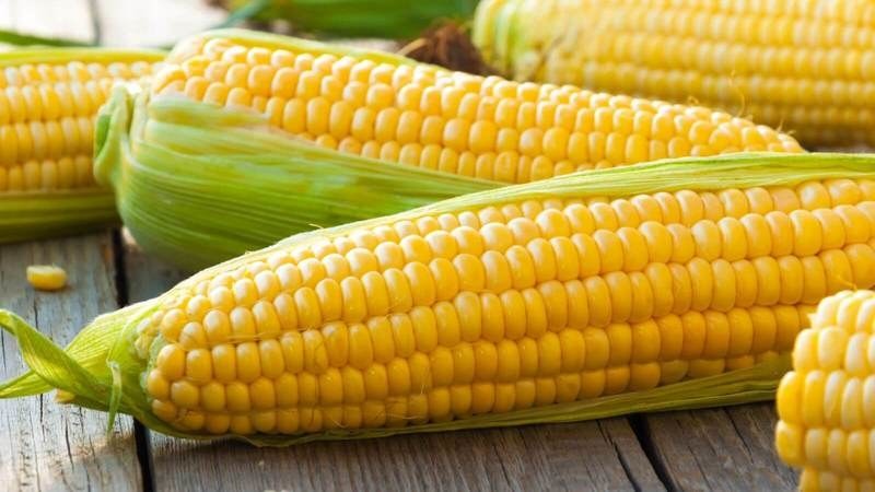 Создать мем: вареная кукуруза, початки кукурузы, кукуруза сахарная лакомка