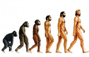 Create meme: the evolution of modern man, human evolution