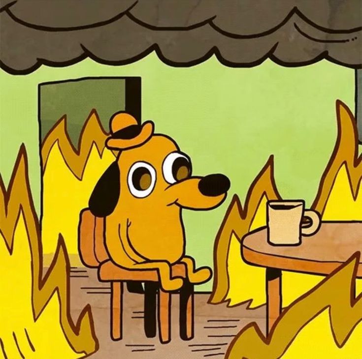 Create meme: a dog in a fire meme, meme dog in a burning house, meme dog in a burning house