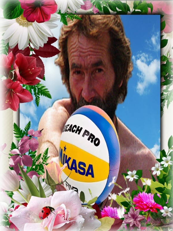 Create meme: mikasa BV550C ball, mikasa v350w, a volleyball 