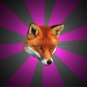 Создать мем: fox face, sexy fox, lis