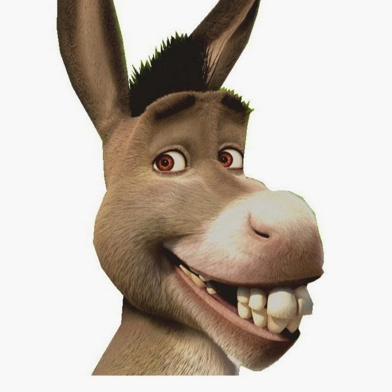 Create meme: the jackass of shrek, Shrek donkey , donkey from Shrek