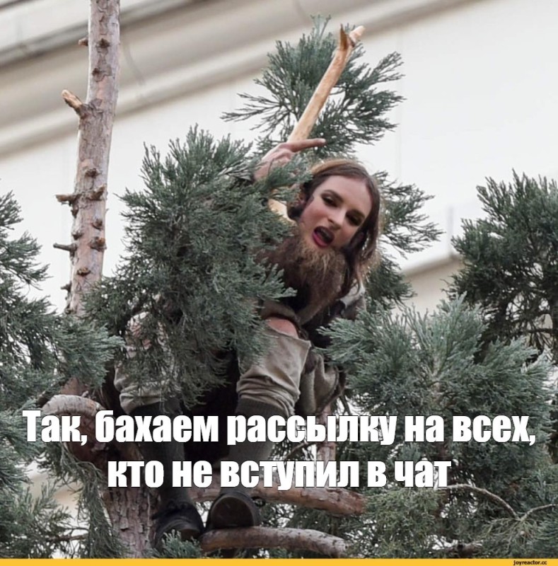 Create meme: fun , on the Christmas tree, Dragging a Christmas tree