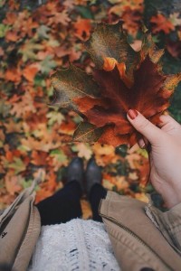 Create meme: cool autumn pictures, hands with autumn leaves, autumn leaves Tumblr
