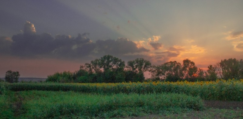 Create meme: beautiful sunset in the field, sunset in the field, landscapes of the field