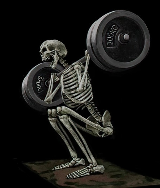 Create meme: weightlifting skeleton, a skeleton on a chair, skeleton 
