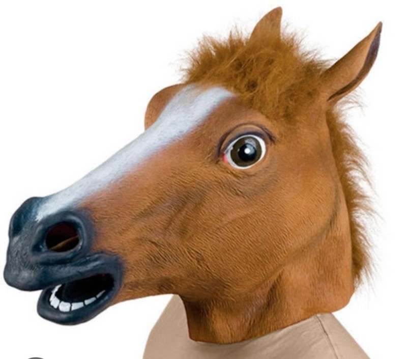 Create meme: the head of a horse, horse head, horse head mask