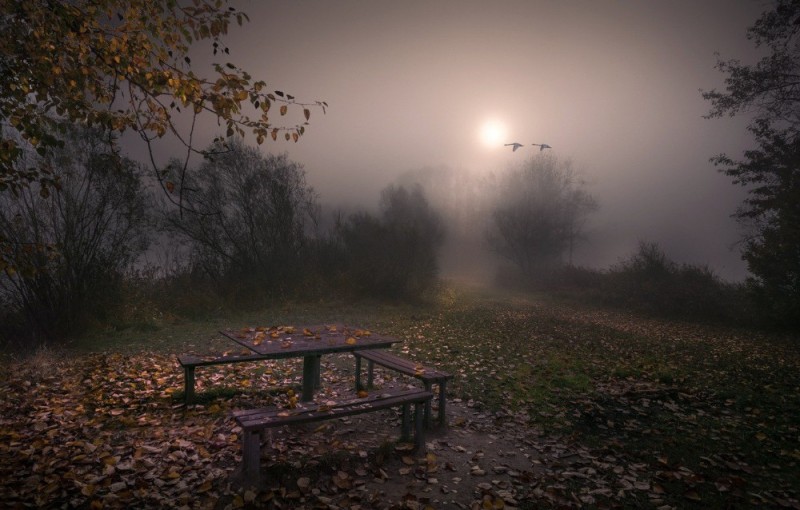 Создать мем: грустный пейзаж, ночной осенний парк, поздняя осень