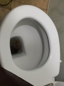 Создать мем: туалетная бумага и унитаз, toilet seat, туалет