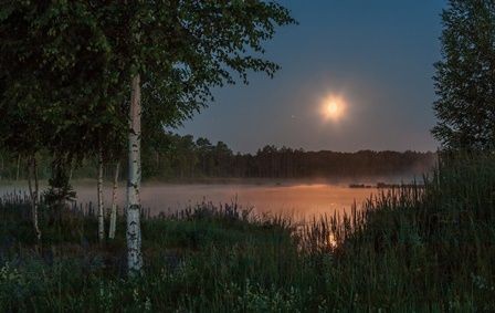 Создать мем: закат над озером, летняя ночь, березы ночью