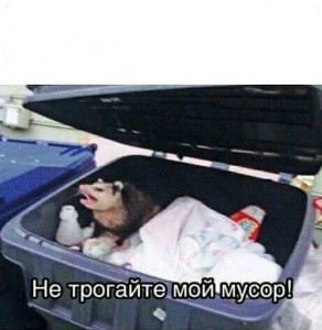 Create meme: opossum in the trash meme, this is my meme trash, on't touch my trash